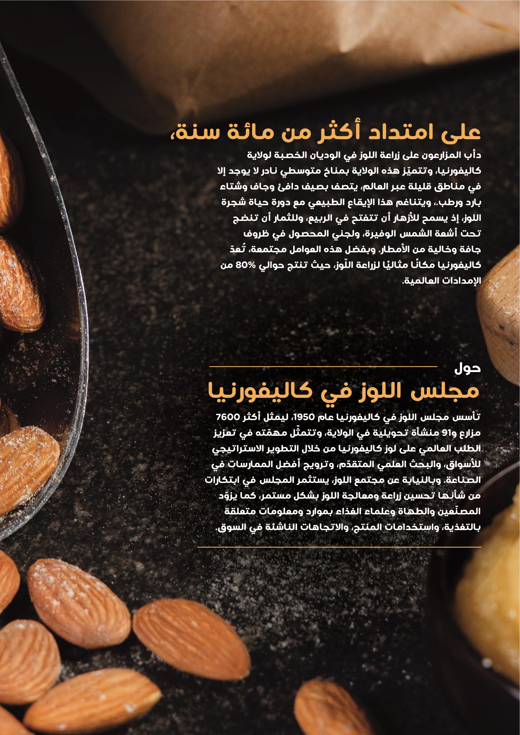 Bakery Booklet Page 2