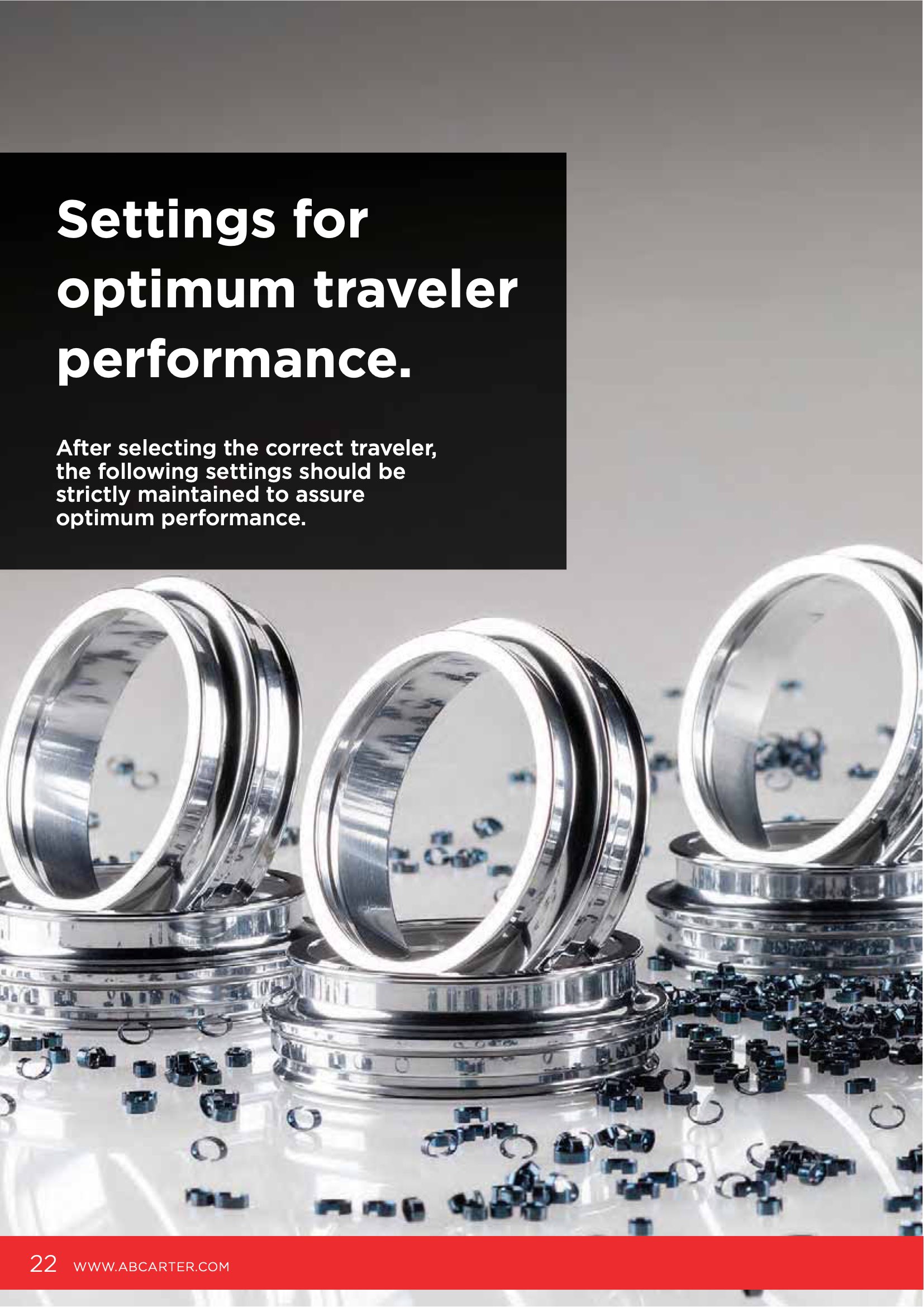 Traveler Catalog Page 22