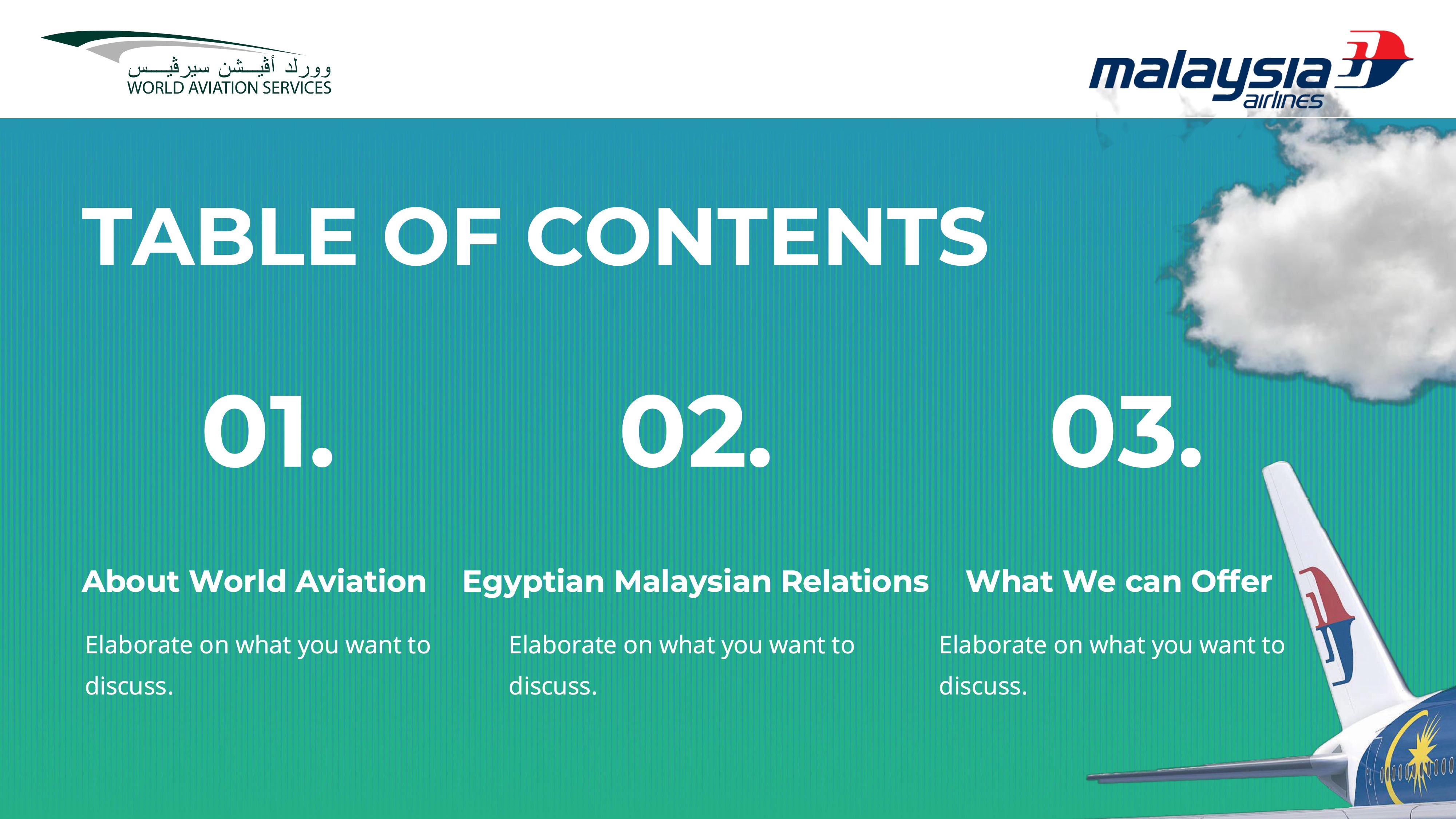 Malaysian Airlines Presentation Page 2