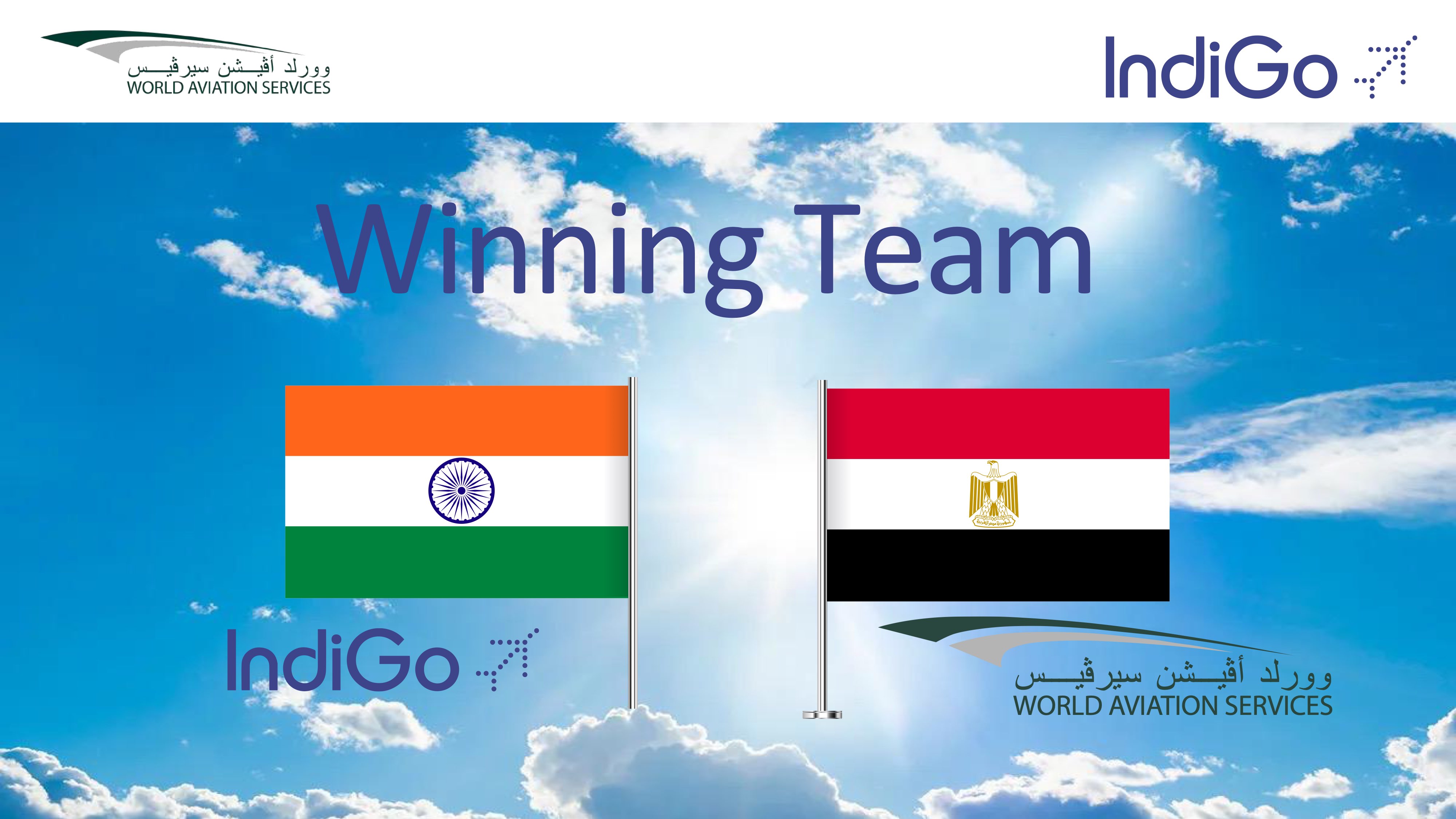 indiGo Presentation Page 13