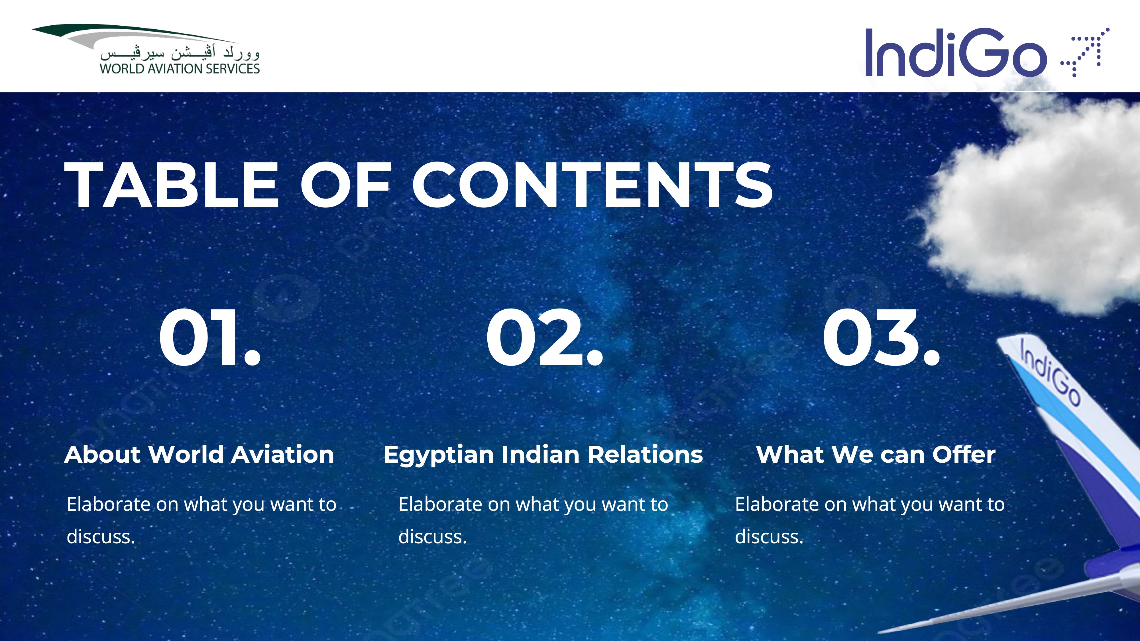 indiGo Presentation Page 2