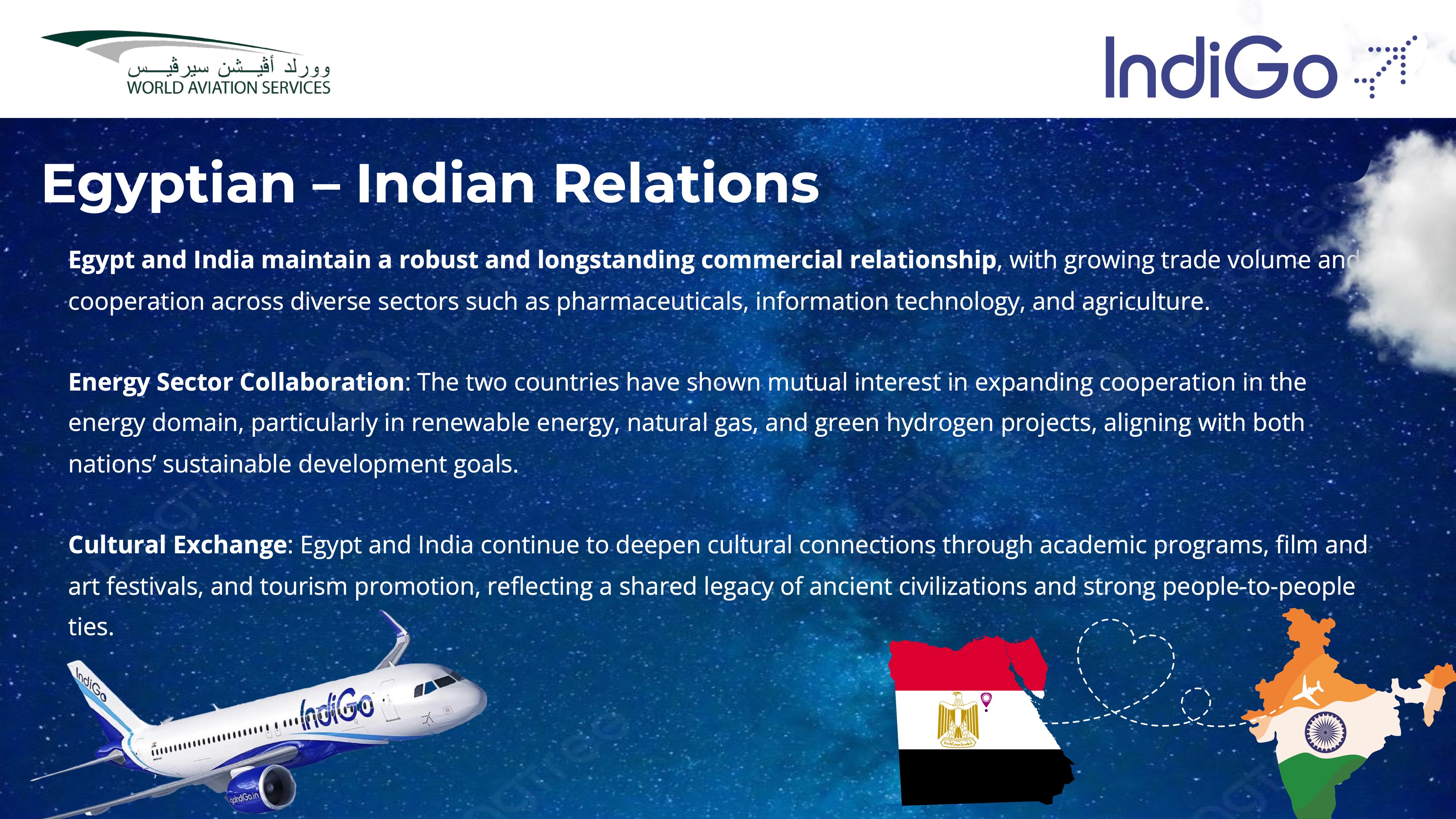 indiGo Presentation Page 6